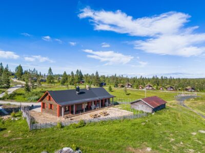 268. Storhytte 1 time Oslo lufthavn Gardermoen, møterom, 6 soverom, 12 personer, 2,5 bad, selskap, kurs konferanse, ski/alpin, sykkel turvandring, 1,5 time Oslo Akershus. Pristillegg for utflukt;  Sauna, isbading, bålopplevelse.