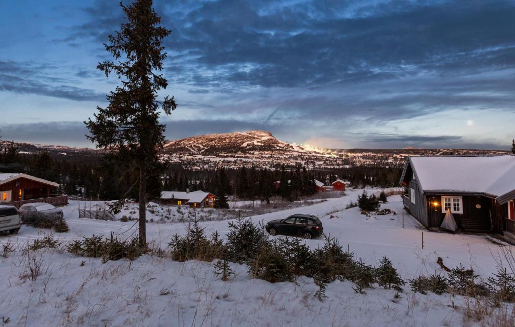 hytte 317 fjellhytta 24 personer 9 soverom Oslo lufthavn Gardermoen jacuzzi boblebad sauna badstu kurs møter konferanse storkjøkken selvhushold
