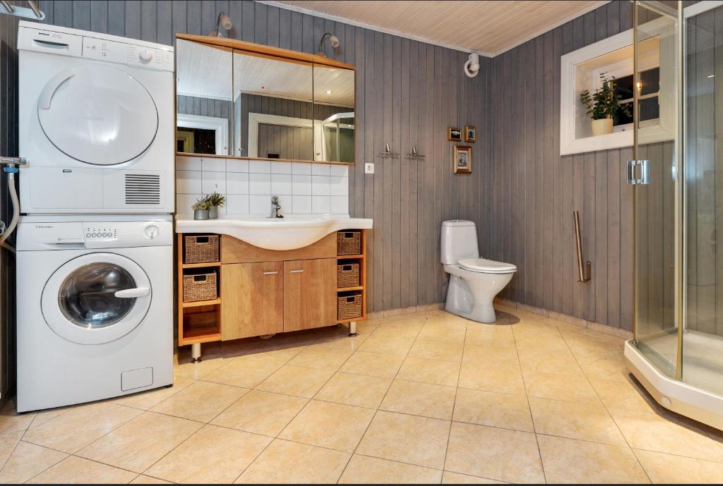 hytte 317 storhytte på fjellet 20 - 24 personer Oslo lufthavn 2 timer 15 min kurs konferanse møter selskap jacuzzi sauna