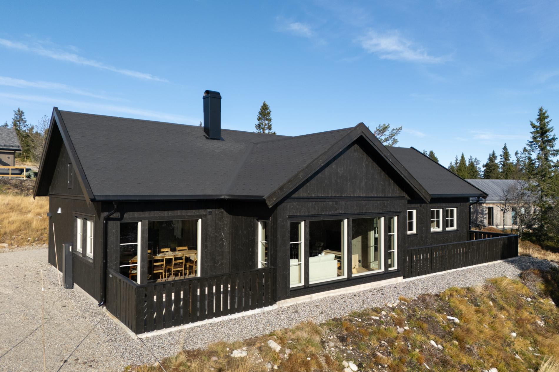 313. Hytte 10 + personer, 5 soverom inkl. loftstue, Oslo lufthavn Gardermoen 1 time, bad, kjøkken, stue, terasse, ski/alåin, turvandring, Innlandet.