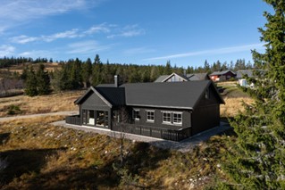 313. Hytte 10 + personer, 5 soverom inkl. loftstue, Oslo lufthavn Gardermoen 1 time, bad, kjøkken, stue, terasse, ski/alåin, turvandring, Innlandet. - Bilde 3