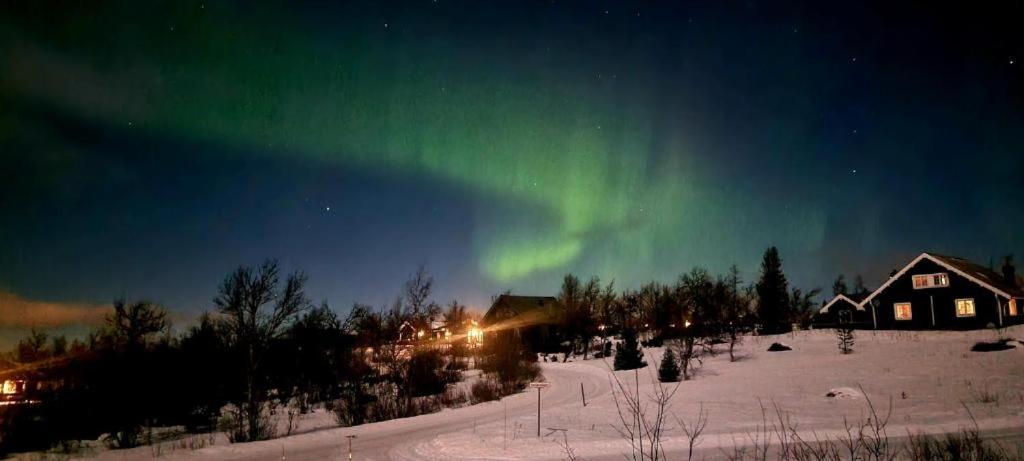 323. Storhytte på fjellet, 30-40 personer. Selskap arrangement, kurs konferanse. 13-18 soverom, 2 + bad. Oslo lufthavn Gardermoen 2 timer 50 min. - Bilde 21