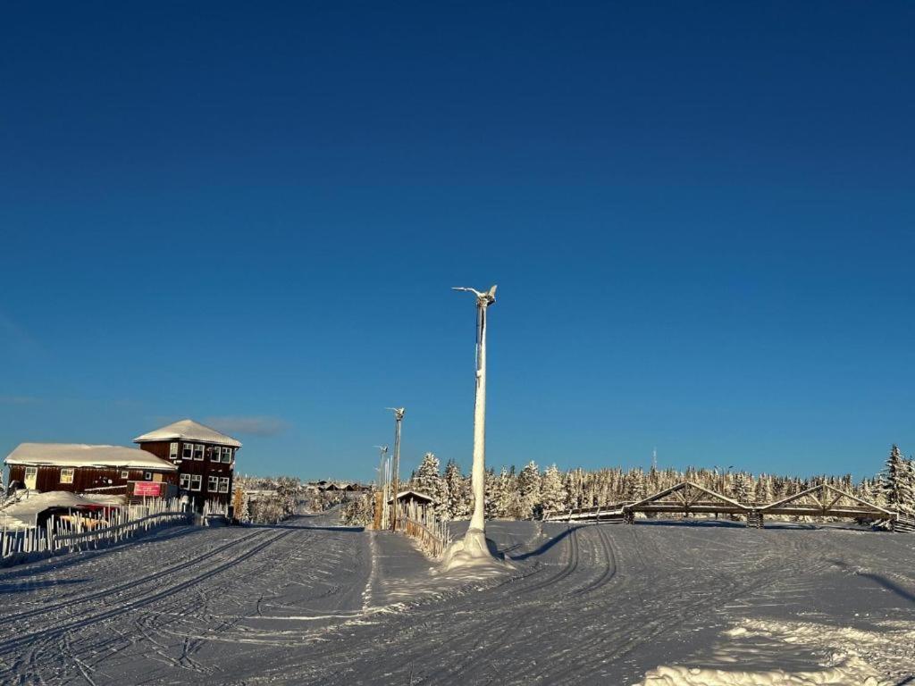 323. Storhytte på fjellet, 30-40 personer. Selskap arrangement, kurs konferanse. 13-18 soverom, 2 + bad. Oslo lufthavn Gardermoen 2 timer 50 min. - Bilde 23