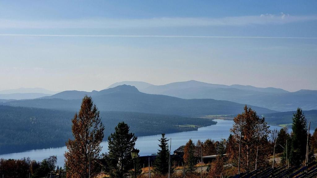 323. Storhytte på fjellet, 30-40 personer. Selskap arrangement, kurs konferanse. 13-18 soverom, 2 + bad. Oslo lufthavn Gardermoen 2 timer 50 min. - Bilde 19