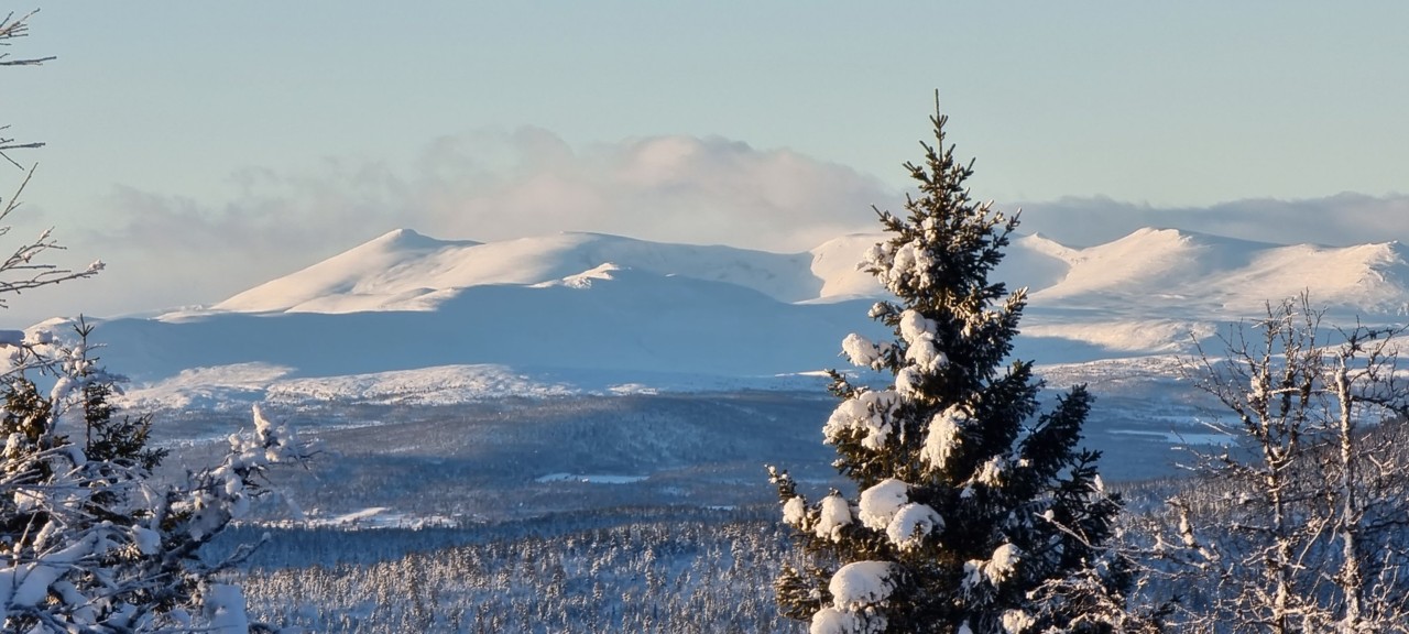 323. Storhytte på fjellet, 30-40 personer. Selskap arrangement, kurs konferanse. 13-18 soverom, 2 + bad. Oslo lufthavn Gardermoen 2 timer 50 min. - Bilde 4