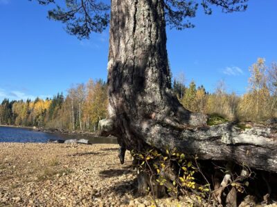 YOGA weekend kursgård, opptil 10 personer, selvhushold, 1 time fra Oslo, 45 min fra Oslo lufthavn Gardermoen.